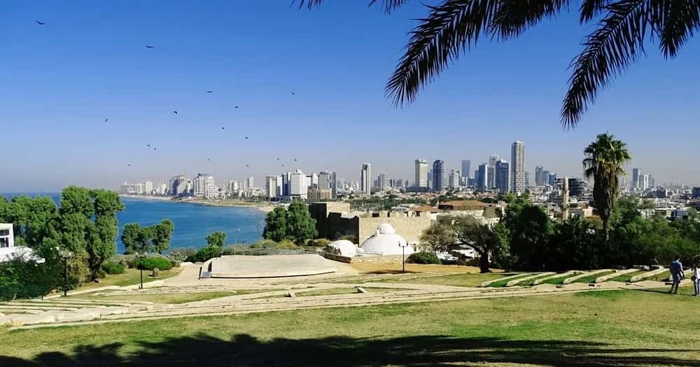 Tel Awiw - jak dojechać z lotniska? Sprawdź najlepsze opcje transportu